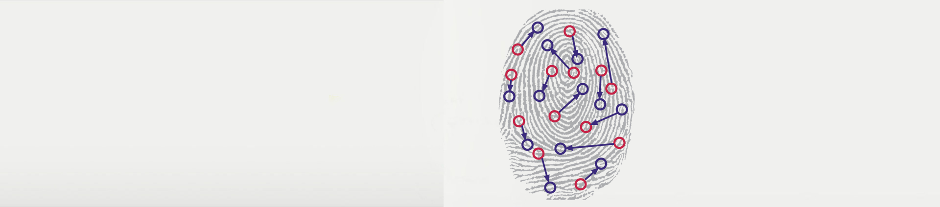 biometric-fingerprint.png